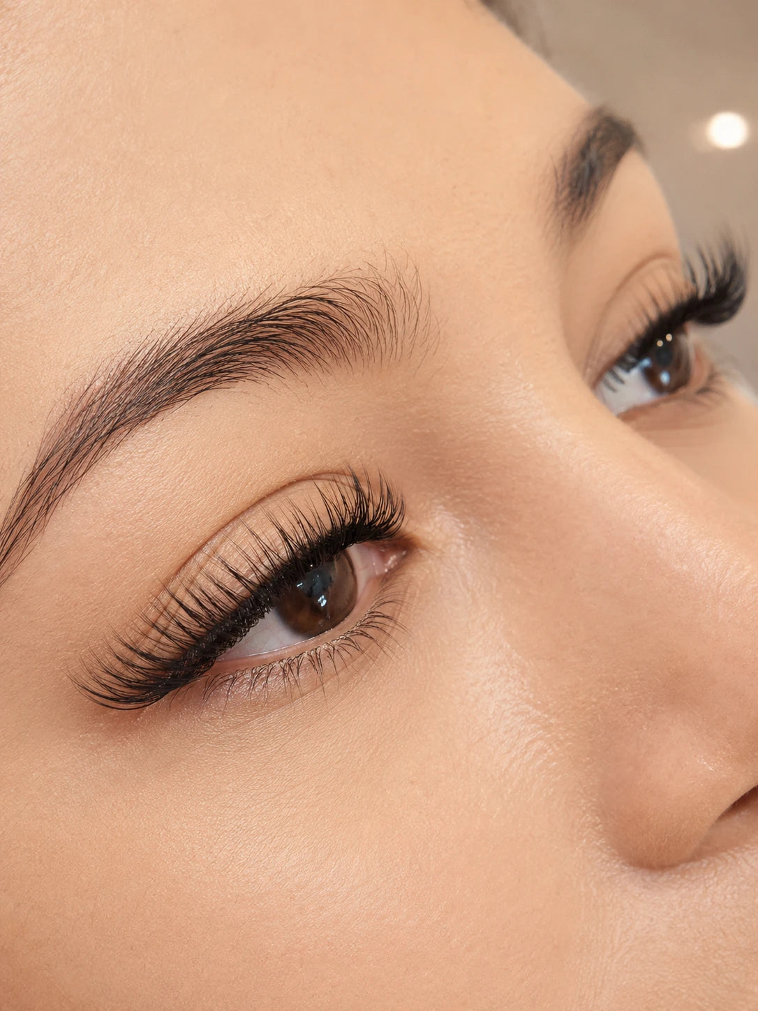 Close-up of curled eyelash extensions and groomed eyebrows on a female client near Five Dock