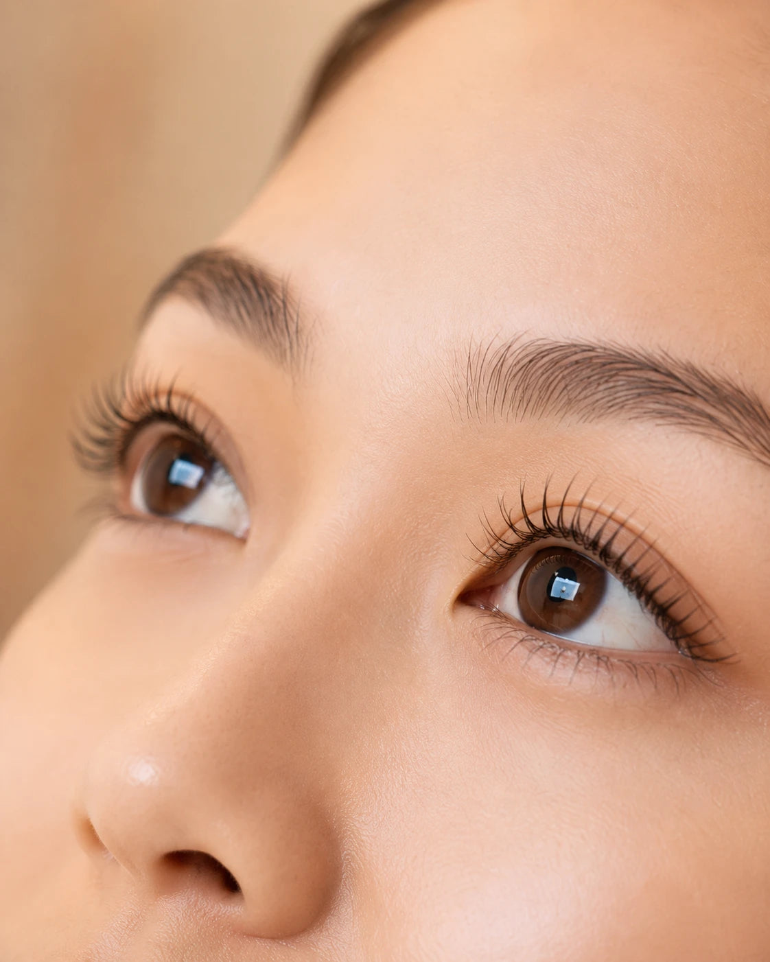 Close-up of natural lifted lashes and well-groomed eyebrows on a female client