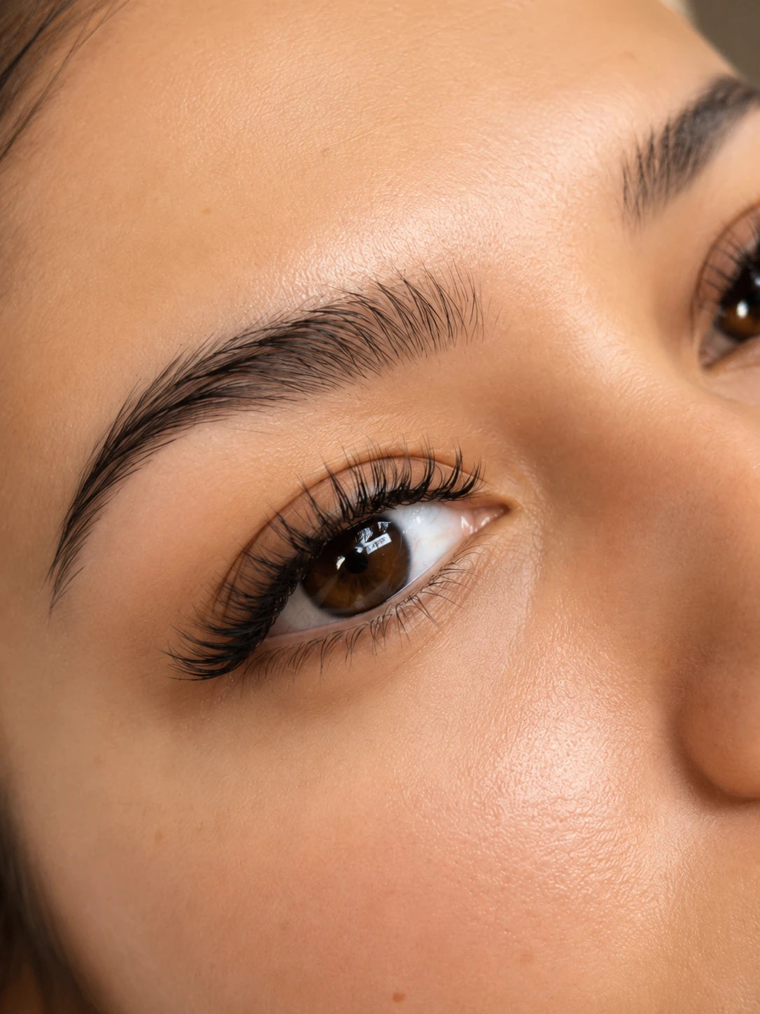 Close-up of volume eyelash extensions with full curled lashes and groomed eyebrows